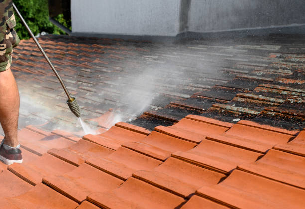 Best Affordable Pressure Washing  in Meadowood, PA