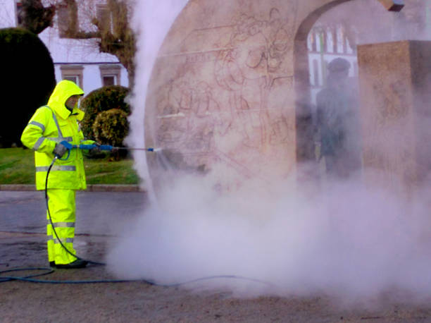 Best Pressure Washing Driveway  in Meadowood, PA